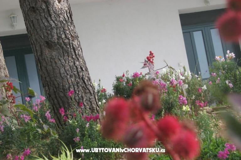 Ana Apartamenty – foto 18