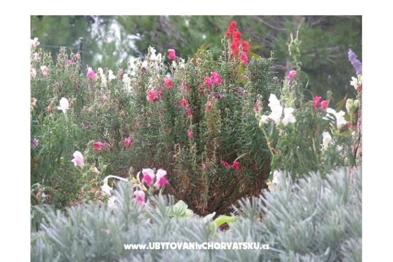 Ana Apartamenty – foto 9