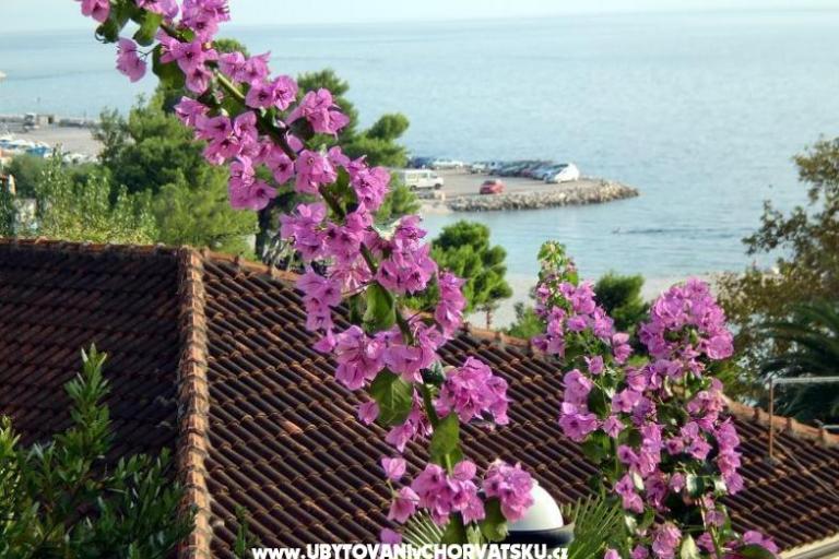 Apartamenty Jurišić – foto 17