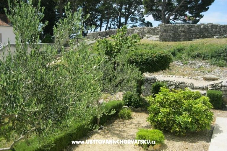 Apartamenty Paula Baska Voda 6 apart – foto 12