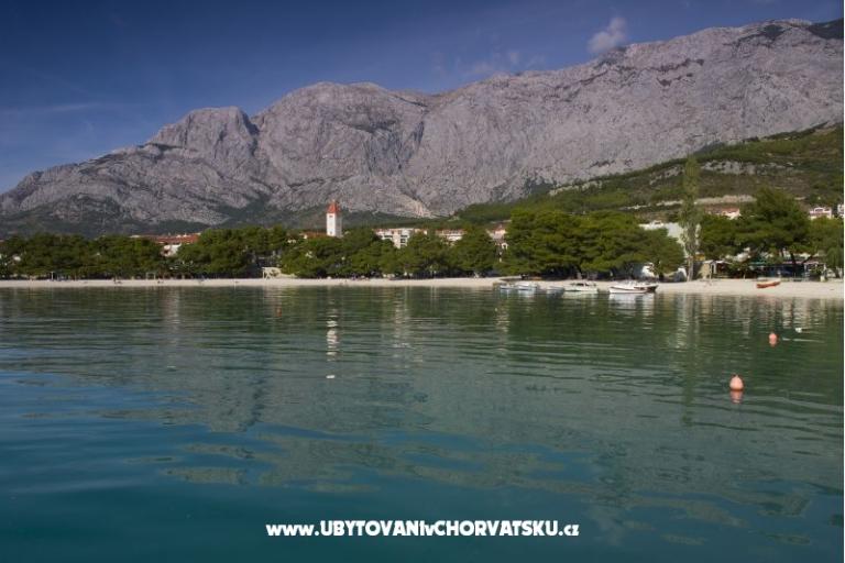 Vila Ivandic Promajna – foto 15