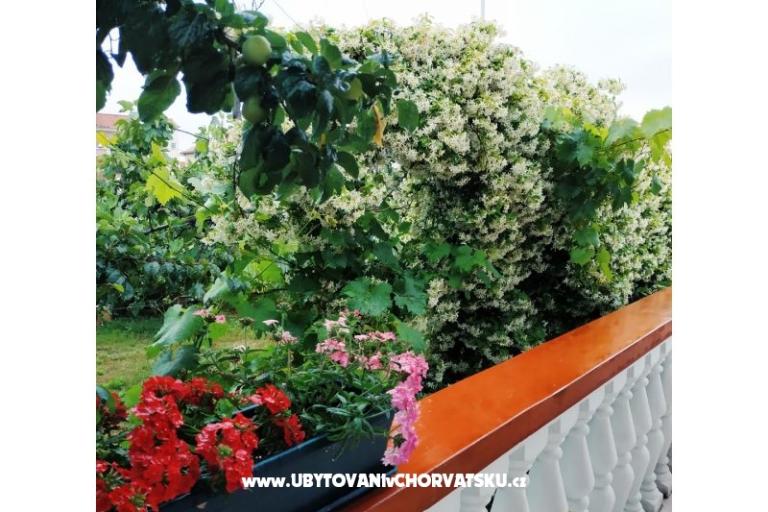 Dom wakacyjny Roema – foto 15