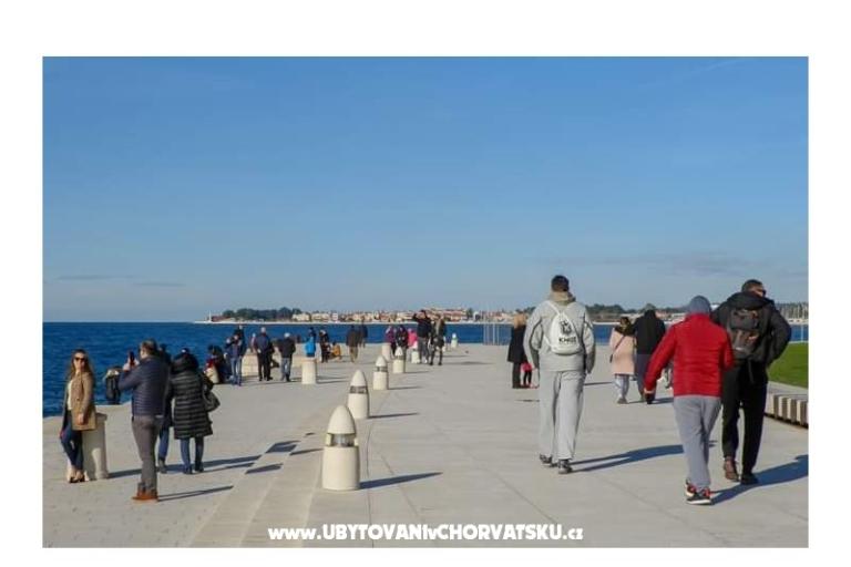 Dom wakacyjny Roema – foto 16