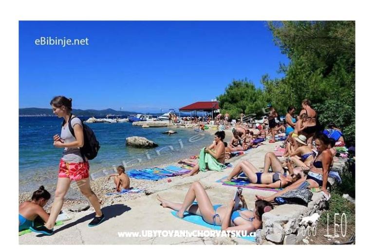 Dom wakacyjny Roema – foto 9