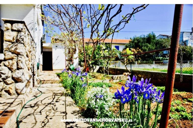 Apartamenty Grcić – foto 14