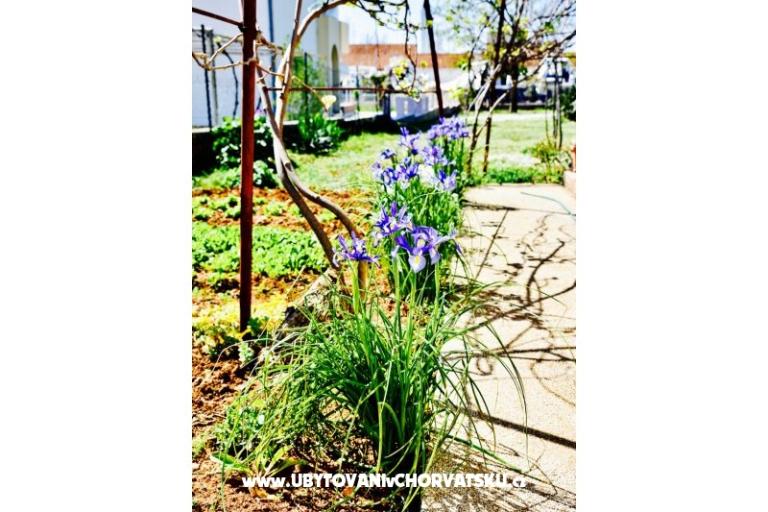 Apartamenty Grcić – foto 15