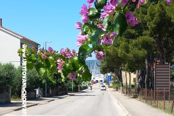 Apartamenty Josipa – foto 37