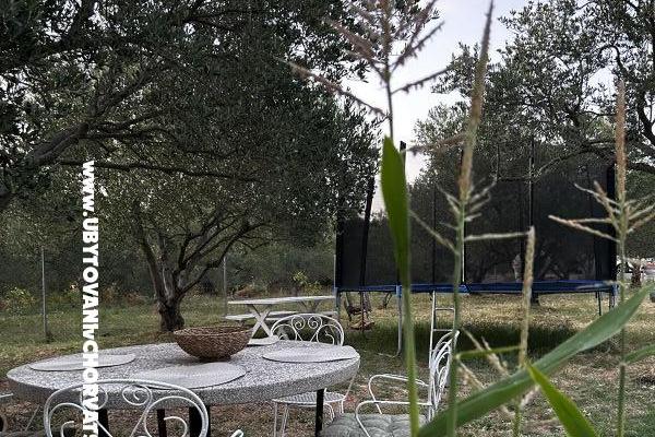 Primorje – foto 12