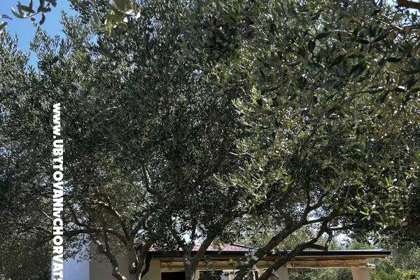 Primorje – foto 19