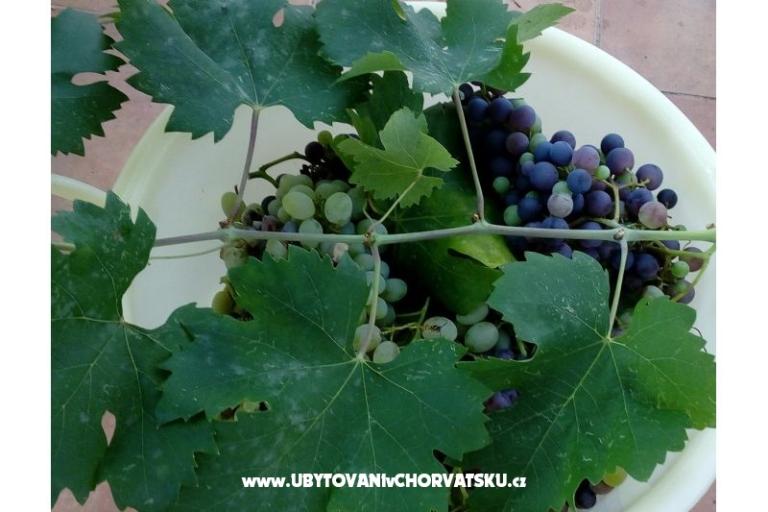 Dom Ankica – foto 15