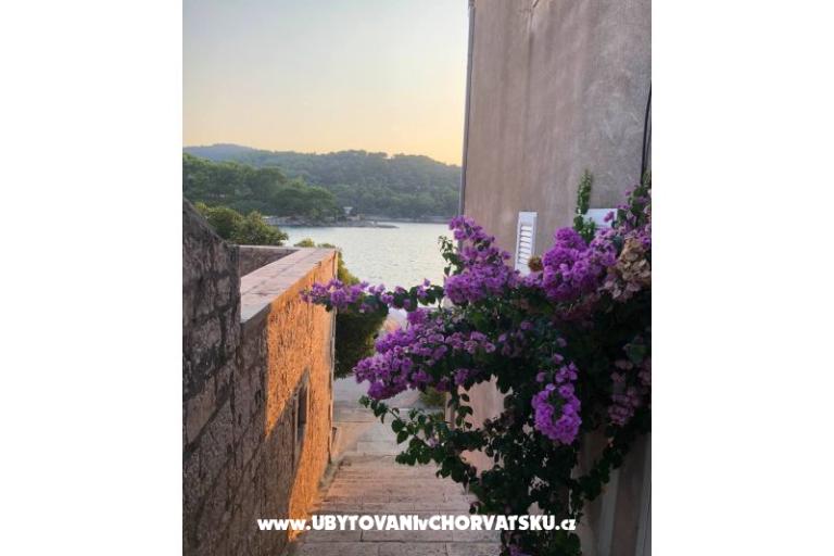 Dom Ankica – foto 21