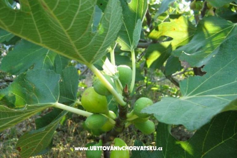 Dom Ankica – foto 4