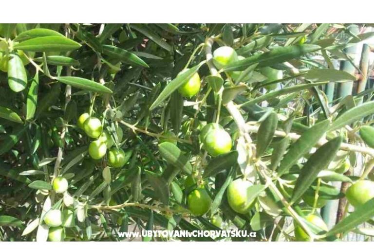 Dom Ankica – foto 5