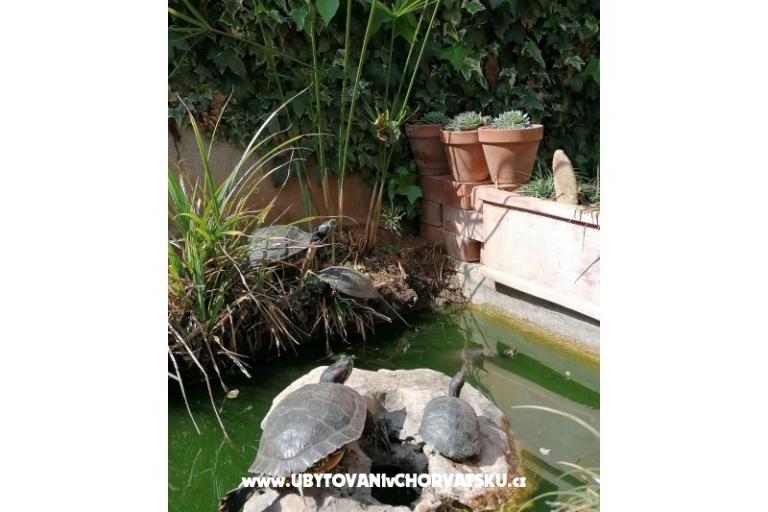 Apartamenty Vesna – foto 12