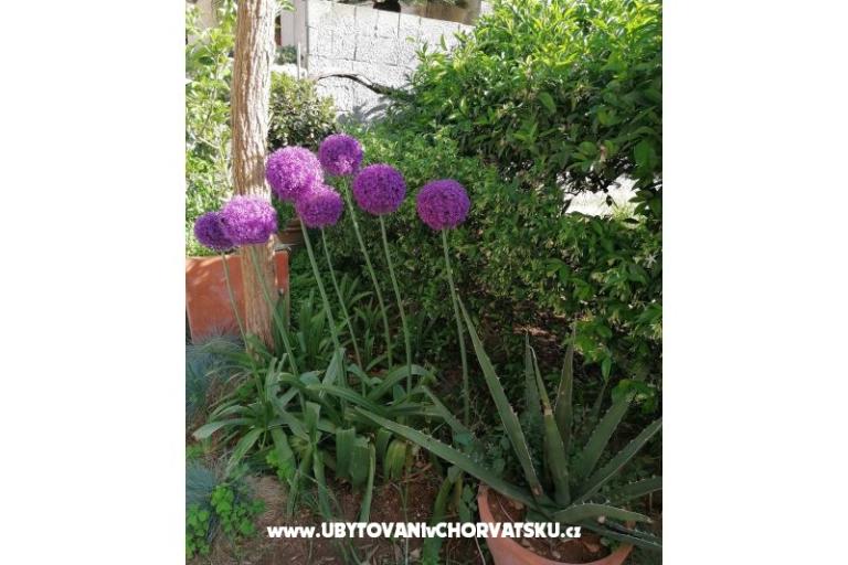 Apartamenty Vesna – foto 23