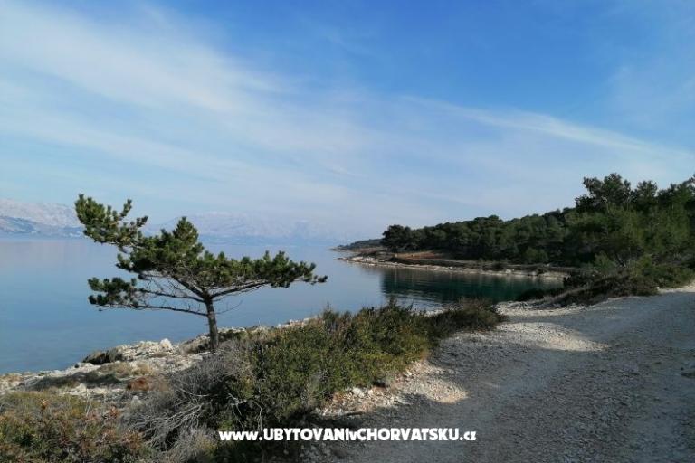 Apartamenty Vesna – foto 24