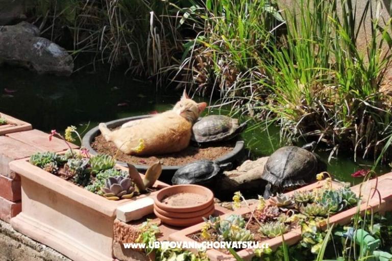 Apartamenty Vesna – foto 29