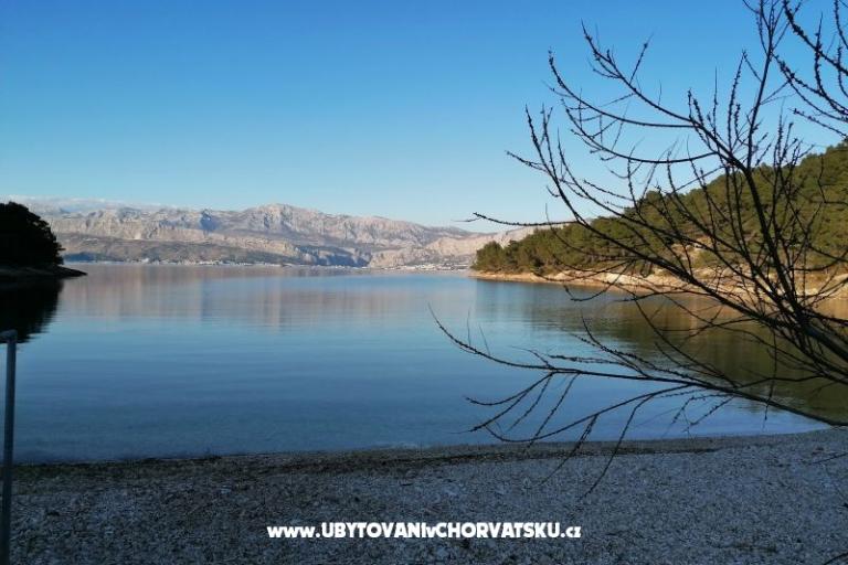 Apartamenty Vesna – foto 31