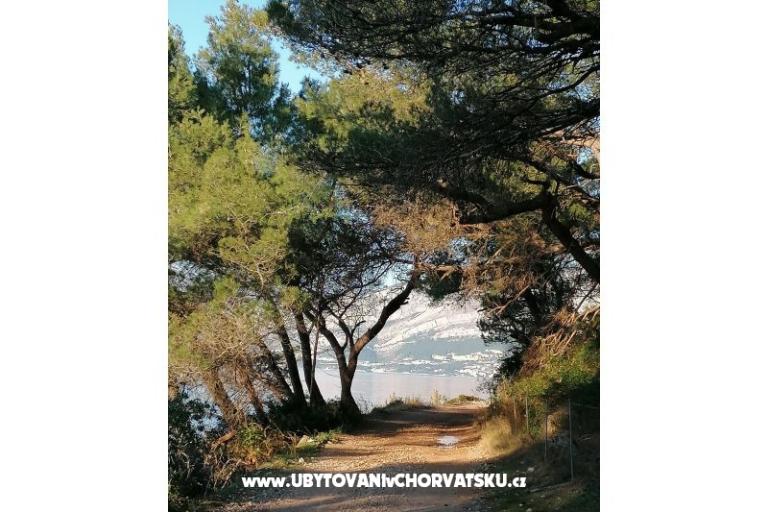 Apartamenty Vesna – foto 32