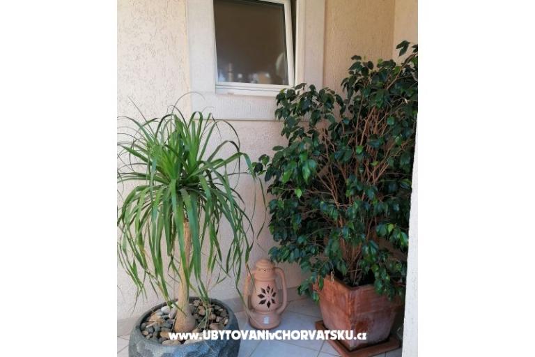 Apartamenty Vesna – foto 34