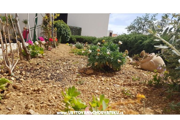 Apartamenty Tomas Brela – foto 6