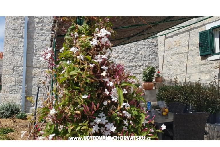 Apartamenty Tomas Brela – foto 7