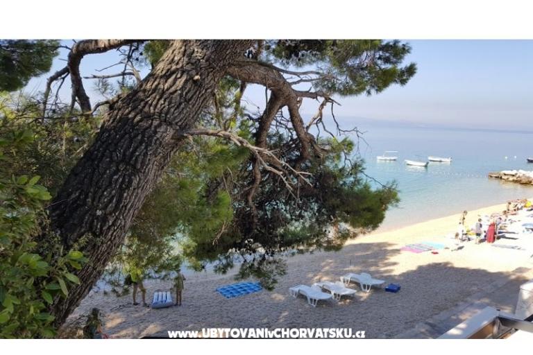 Dom Pokoje Pokój Villa Sodan – foto 11