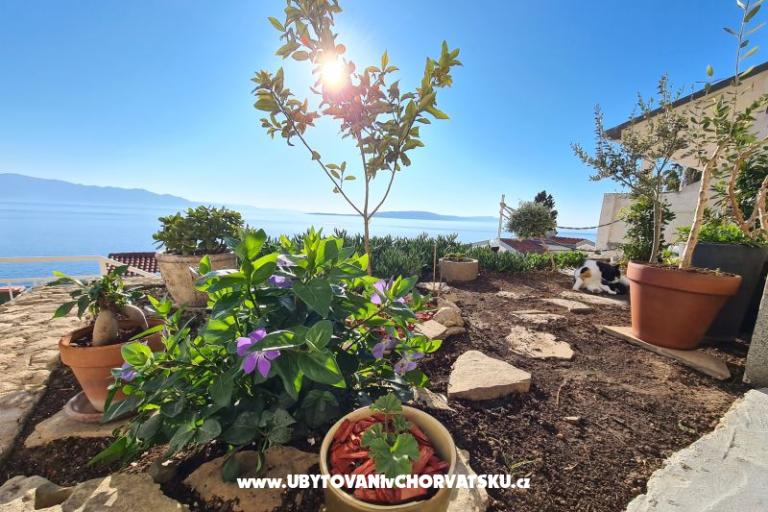Apartamenty Puntin – foto 4