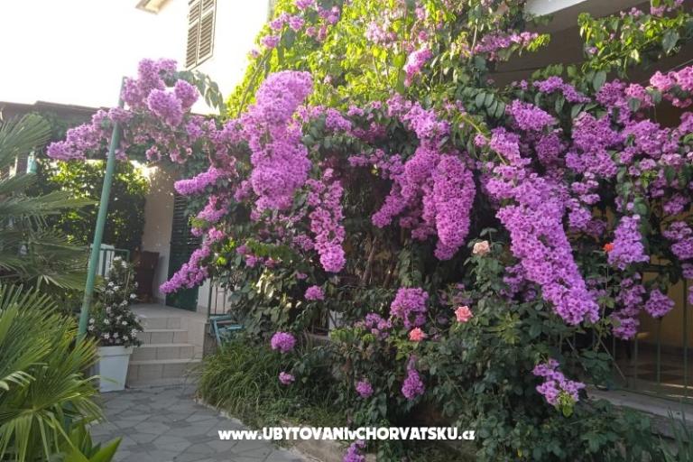 Apartamenty Majica – foto 6