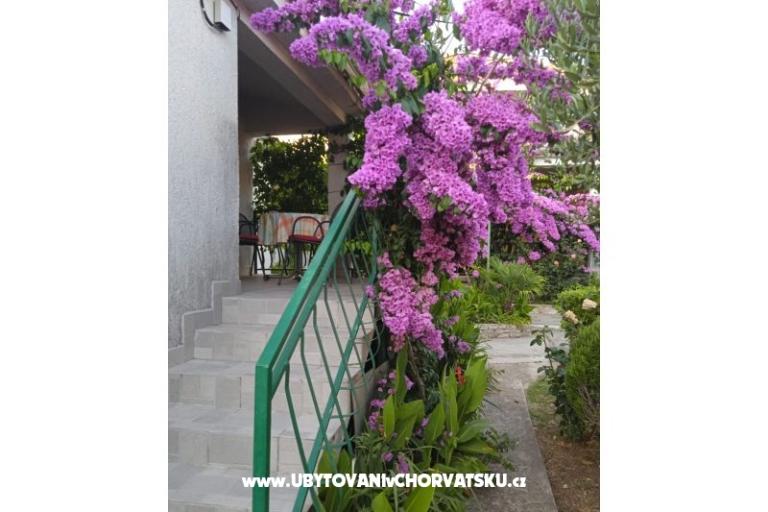 Apartamenty Majica – foto 9