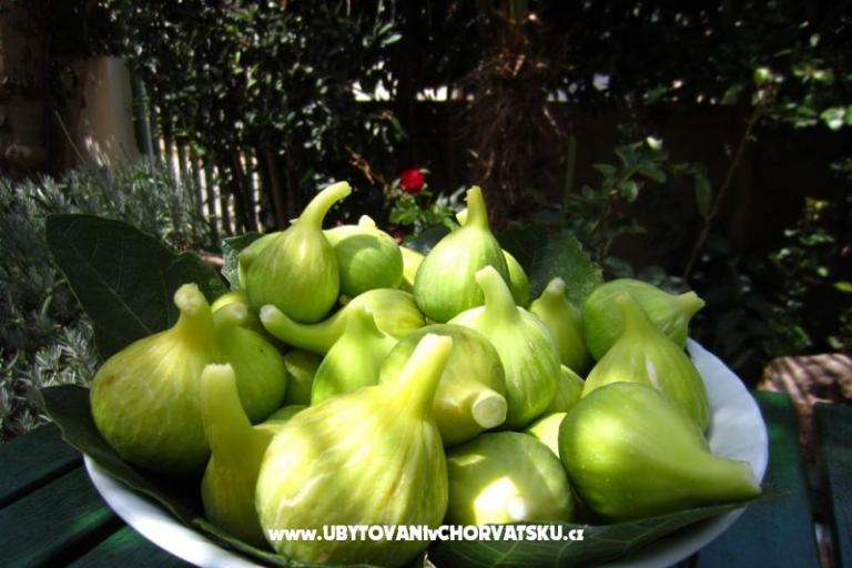 Apartamenty FJAKA – foto 15