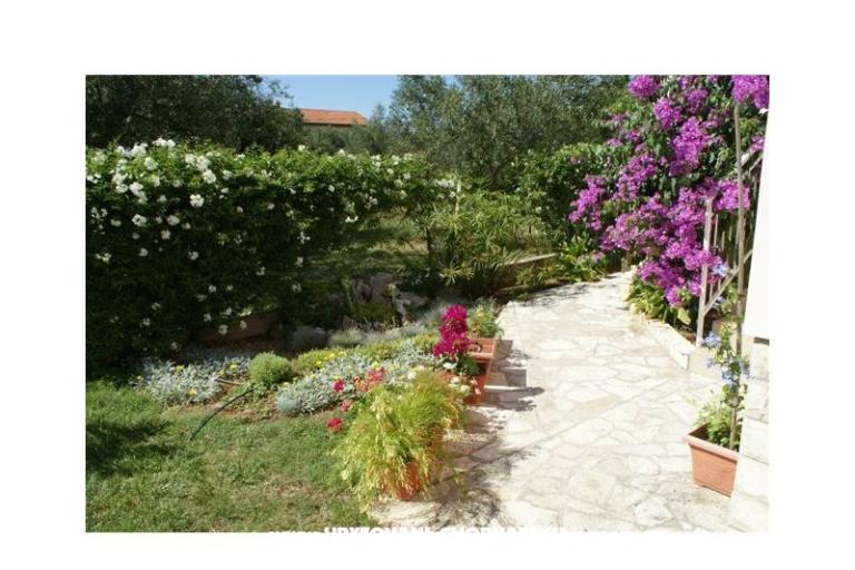 Apartamenty Vodopija od 55eur/2 os – foto 6