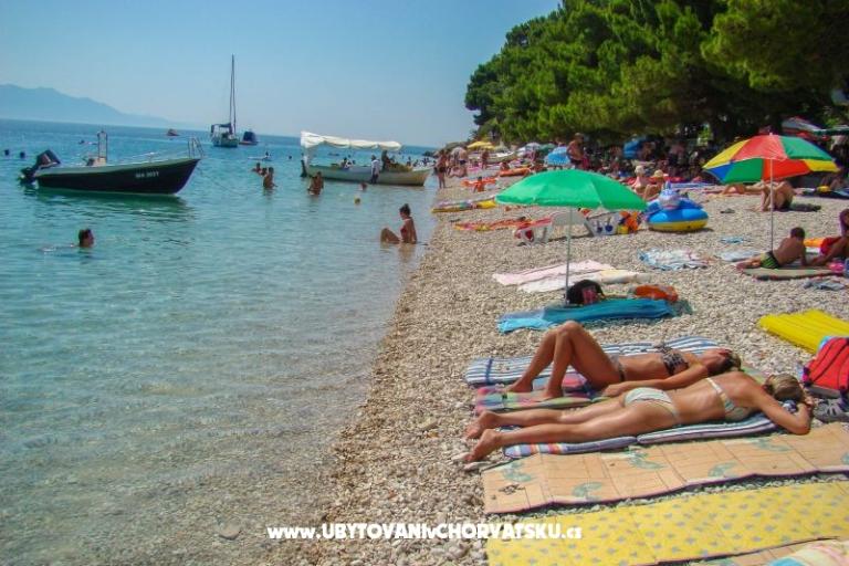 Apartamenty Kosović – foto 15