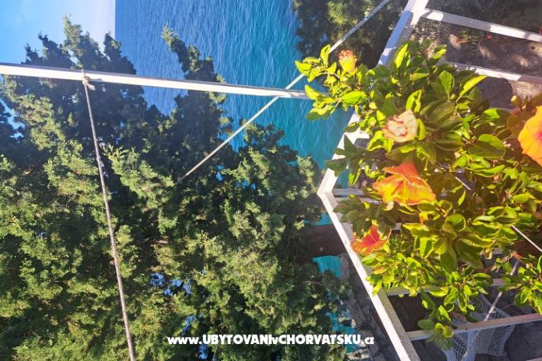 Dijana Beach Dom – foto 16