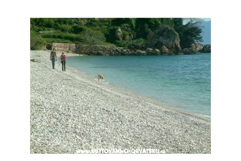 Apartamenty Gradina – foto 11