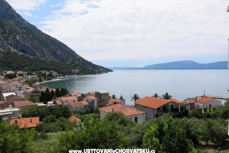 Apartamenty Gradina – foto 5