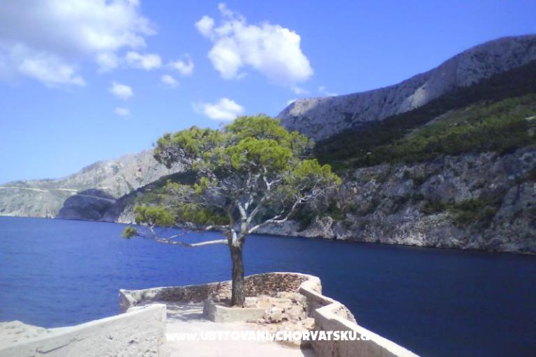 Apartamenty Arpina  – foto 20