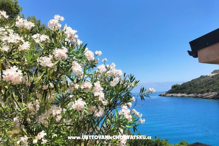 Vila Marija - uvala Prapotna – foto 20