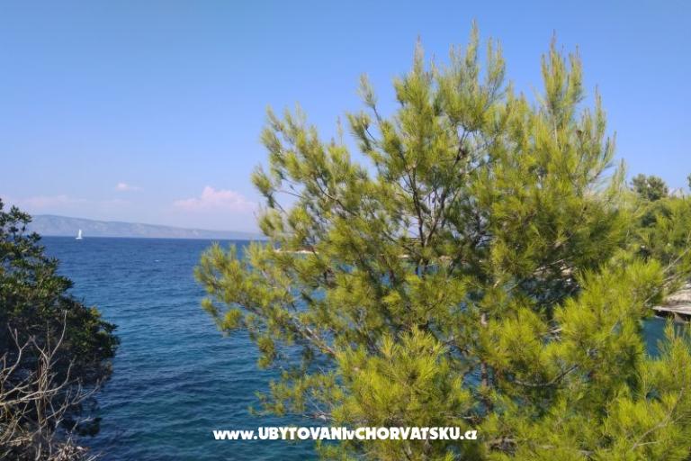 Vila Marija - uvala Prapotna – foto 29