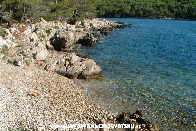 Villa Ema – foto 13