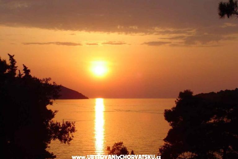 Villa Ema – foto 14