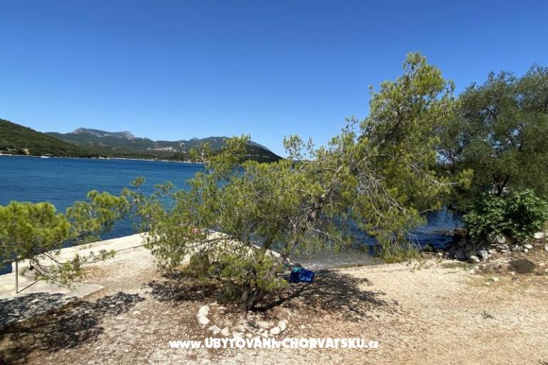 Apartamenty Ankica – foto 2