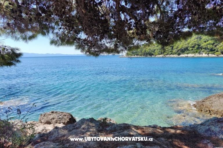 Apartamenty Deak – foto 8