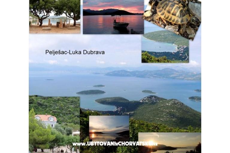 Apartamenty Mirjana  – foto 15