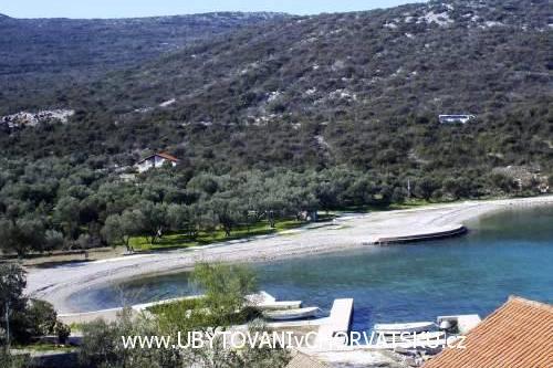 Apartamenty Mirjana  – foto 3