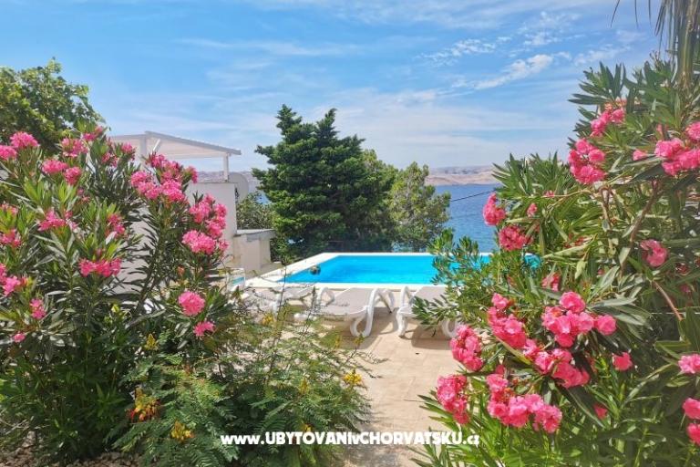 Apartamenty Anita with Pool – foto 7