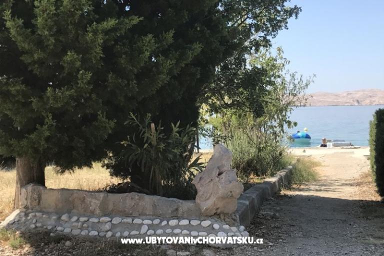 Apartamenty Ribarica – foto 13