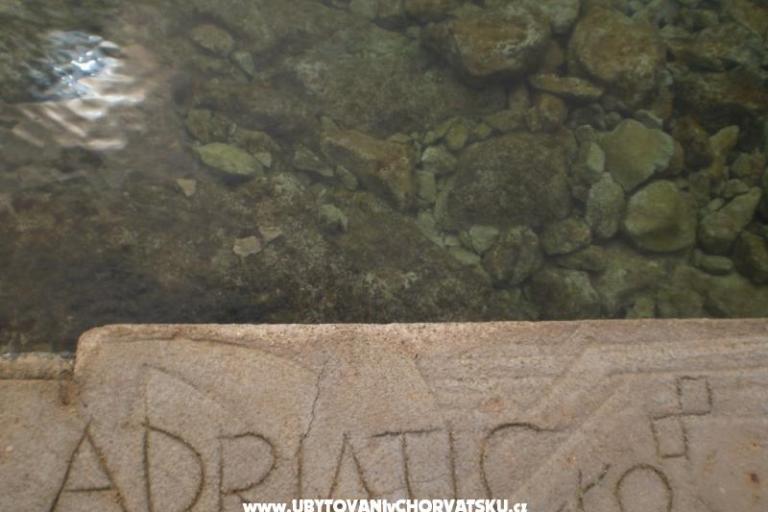 Apartamenty Ana-Marija – foto 17