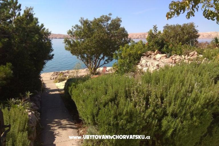 Apartamenty Ana-Marija – foto 3