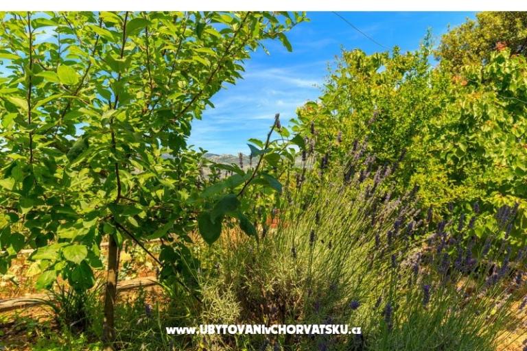 Apartamenty Kastelan – foto 6